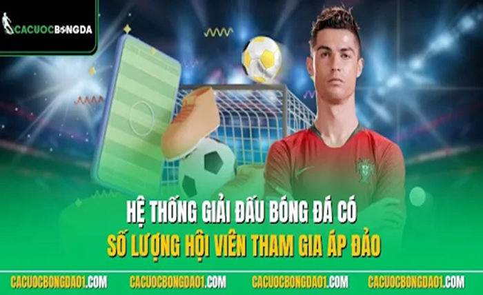 Cá Cược Bóng Đá